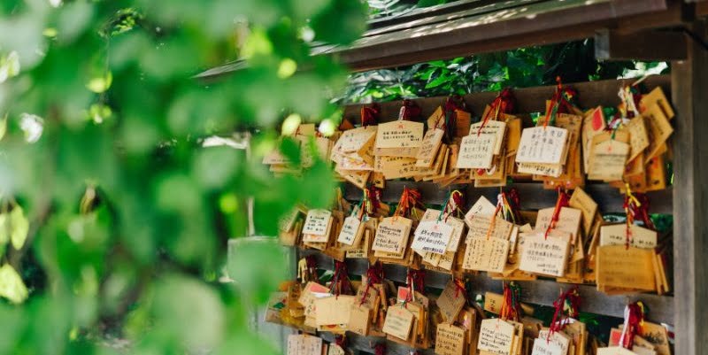 奉納されたたくさんの絵馬