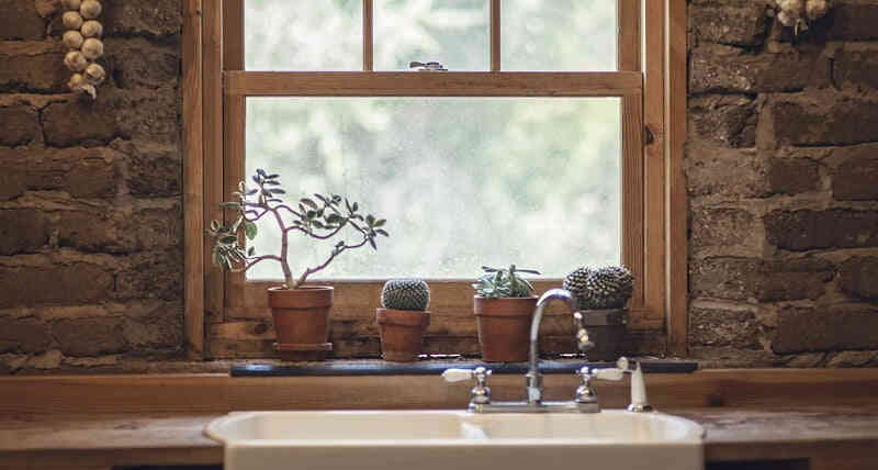 風水：４つの鉢植えのサボテン