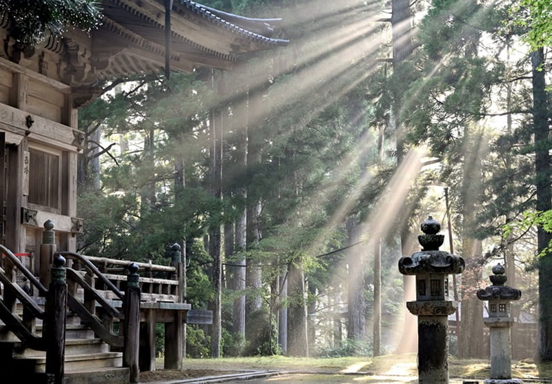 朝日が眩しい寺院